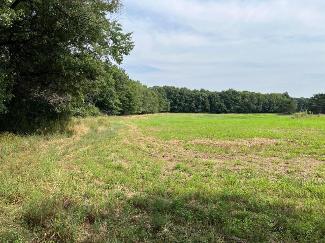 Land for sale in Stacy, Minnesota