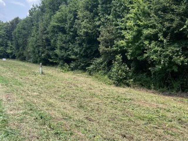 Land for sale in Chatham, North Carolina