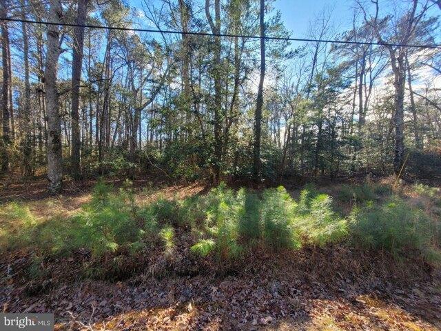 Land for sale in Virginia