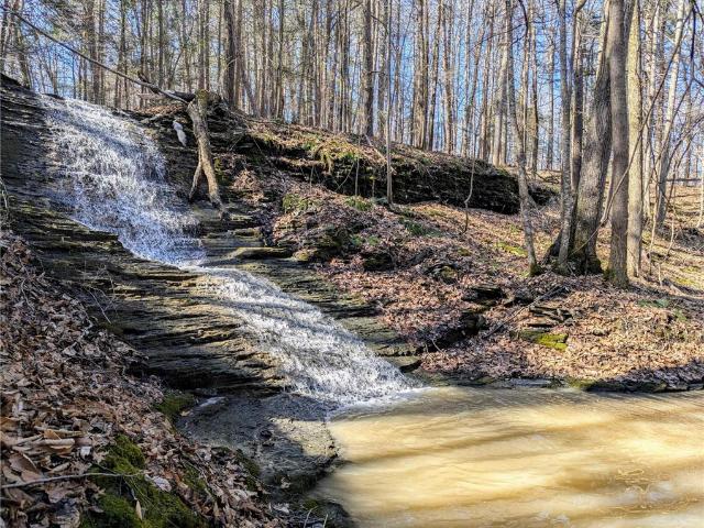 Land for sale in Newfield, New York