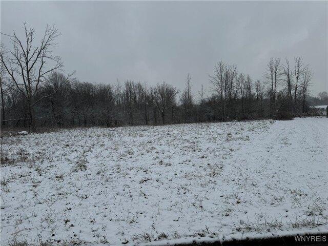 House for sale in Niagara, New York