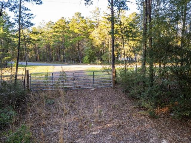 Land for sale in Walton, Florida