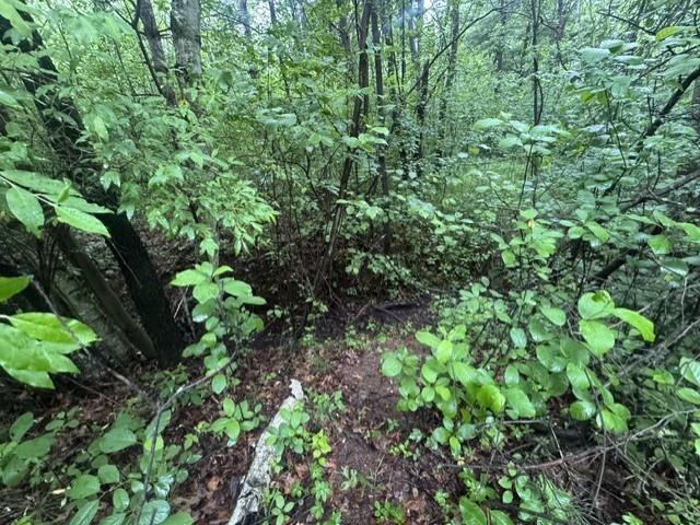 Land for sale in Suamico, Wisconsin