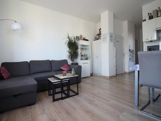 Appartement location à Céret, Elne