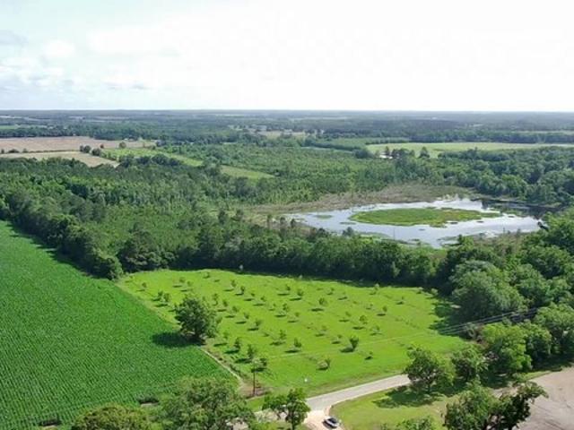 Land for sale in Grady, Georgia
