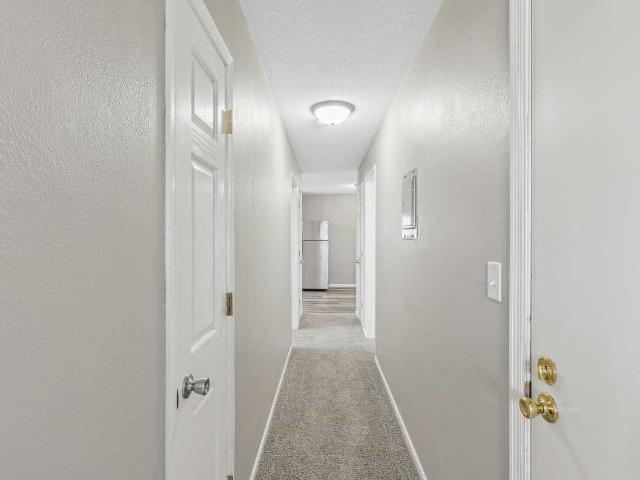 Apartment for rent in South Saint Paul, Minnesota