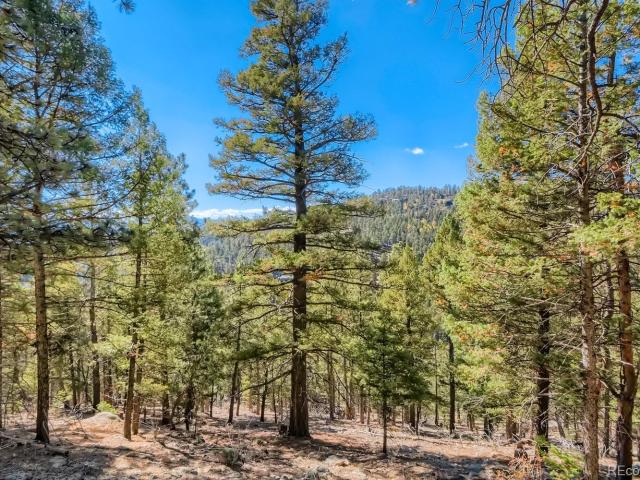 Land for sale in Conifer, Colorado