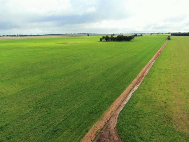 Cottage for sale in Belfrayden, New South Wales