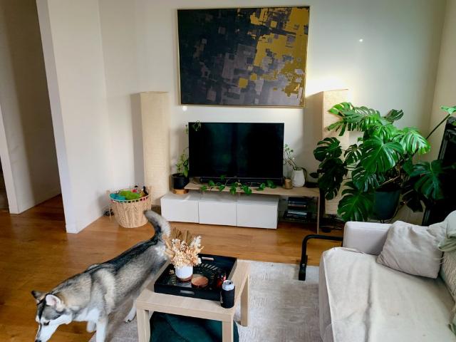 Room for rent in Camerons Creek, Victoria
