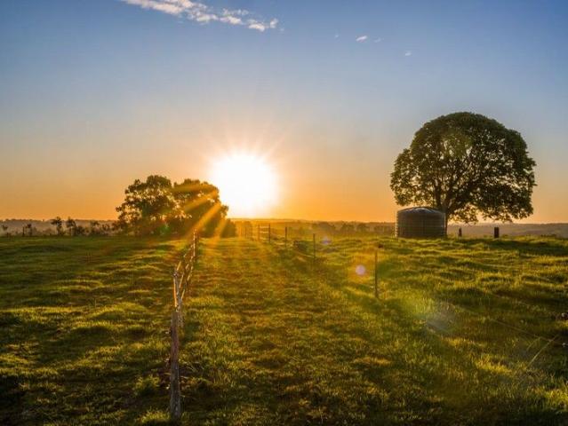 Cottage for sale in Bexhill, New South Wales