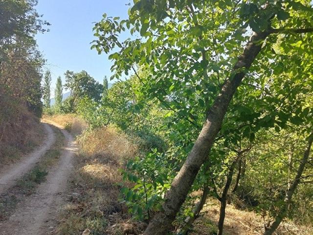 Çeltikçi, Burdur içerisinde satılık mülk