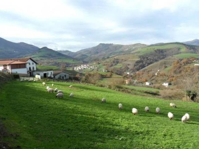 Casa en alquiler en Donamaria, Navarra