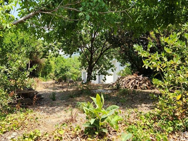 Milas, Muğla içerisinde satılık Arsa