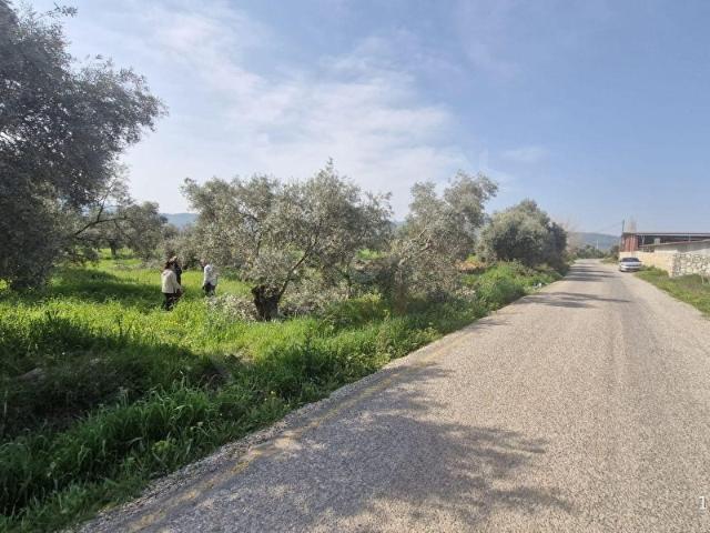 Milas, Muğla içerisinde satılık Arsa