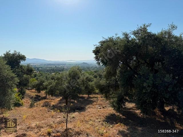 Milas, Muğla içerisinde satılık Arsa