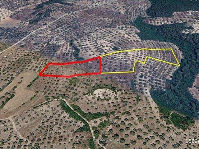 Milas, Muğla içerisinde satılık mülk