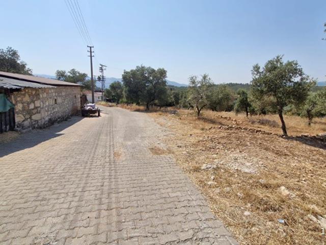 Milas, Muğla içerisinde satılık Arsa