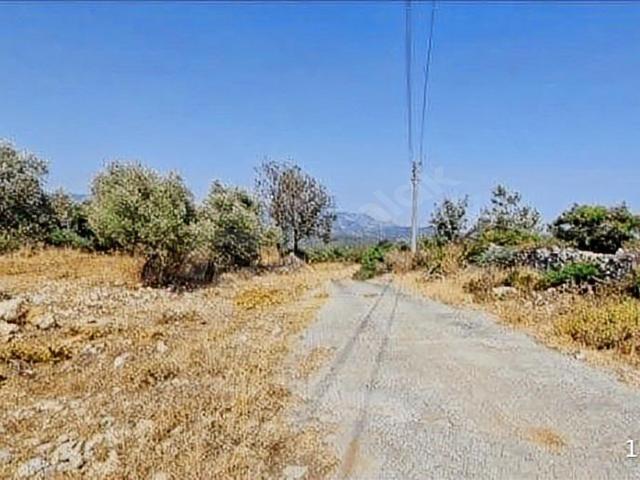 Milas, Muğla içerisinde satılık mülk