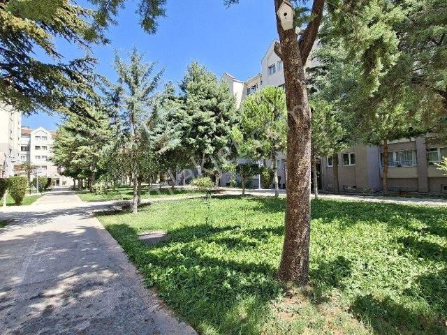 Etimesgut, Ankara içerisinde kiralık mülk