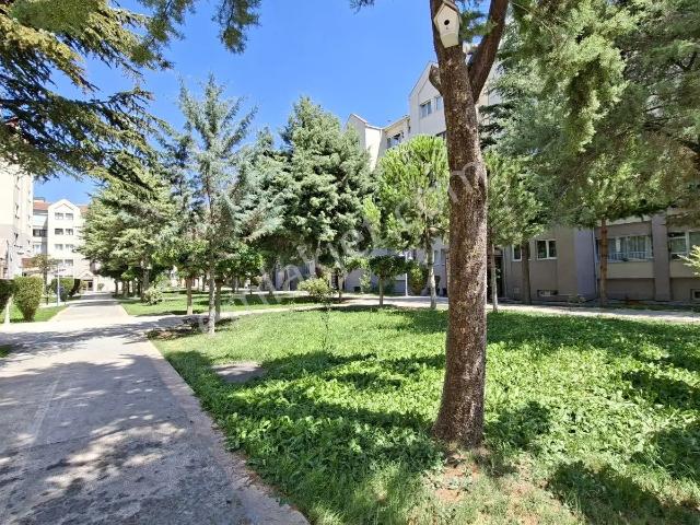 Etimesgut, Ankara içerisinde kiralık mülk