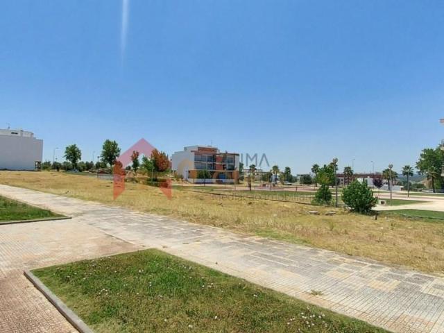 Terreno venda em Elvas, Portalegre