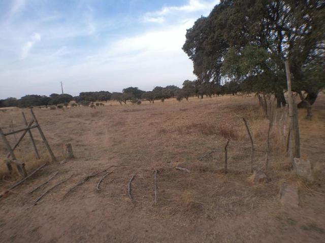 Terreno venda em Elvas, Portalegre