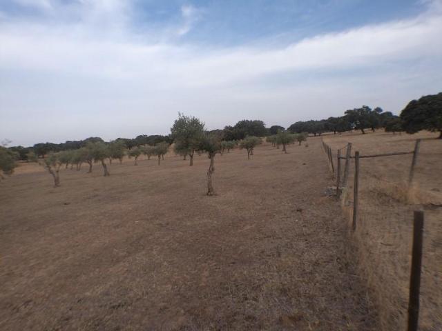 Terreno venda em Elvas, Portalegre