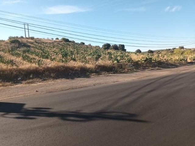 Terreno venda em Elvas, Portalegre