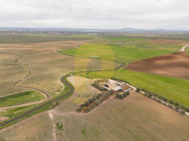 Terreno venda em Sochinhas, Elvas