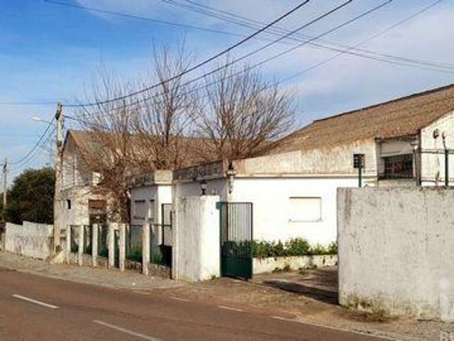 Loja alugar em Elvas, Portalegre