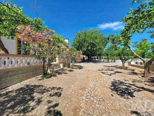 Terreno venda em Elvas, Portalegre