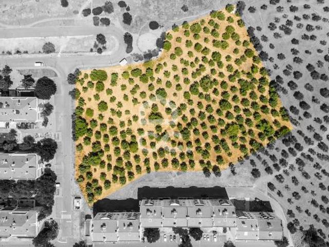 Terreno venda em Elvas, Portalegre