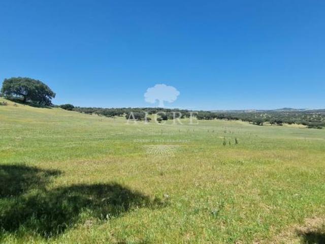 Terreno venda em Elvas, Portalegre