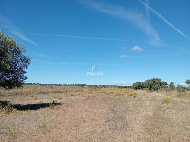 Terreno venda em Elvas, Portalegre