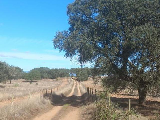 Terreno venda em Elvas, Portalegre