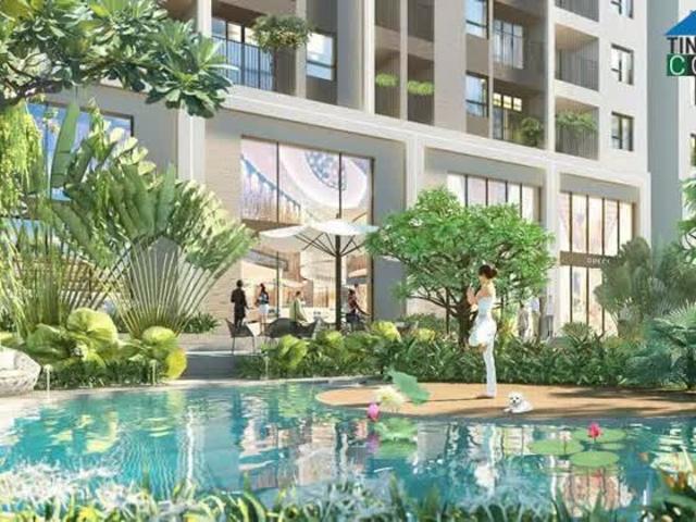 Căn hộ bán tại Thủ Đức, Hồ Chí Minh