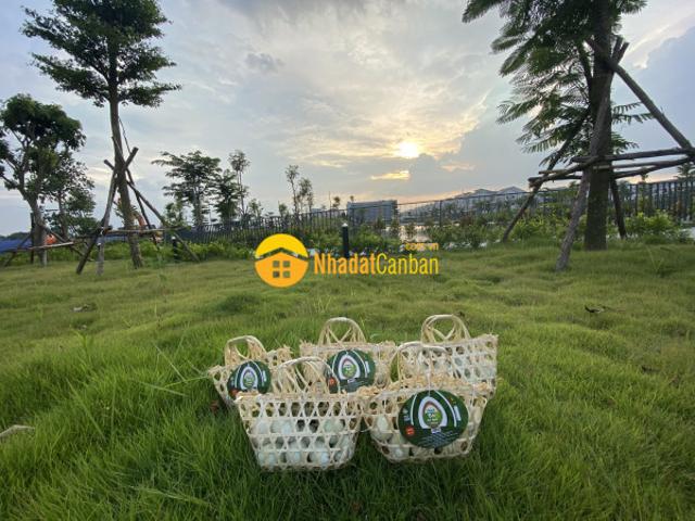 Nhà mặt phố bán