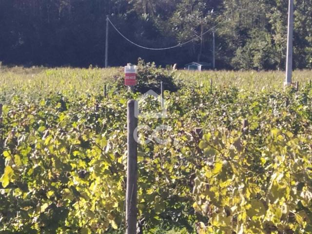 Terreno venda em Guimarães, Braga