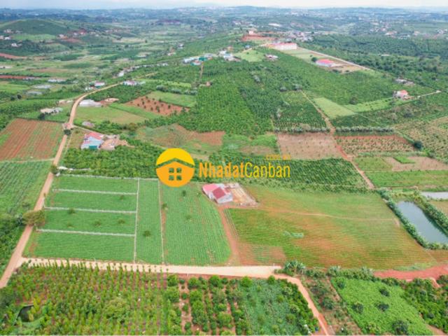 Mặt bằng bán