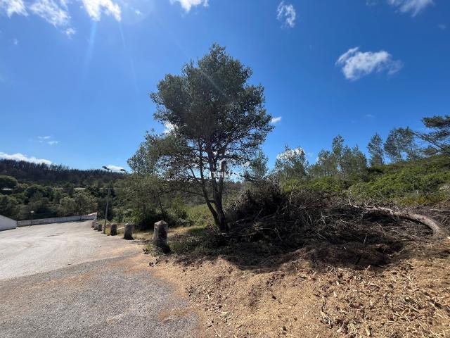 Terreno venda em Cascais, Lisboa