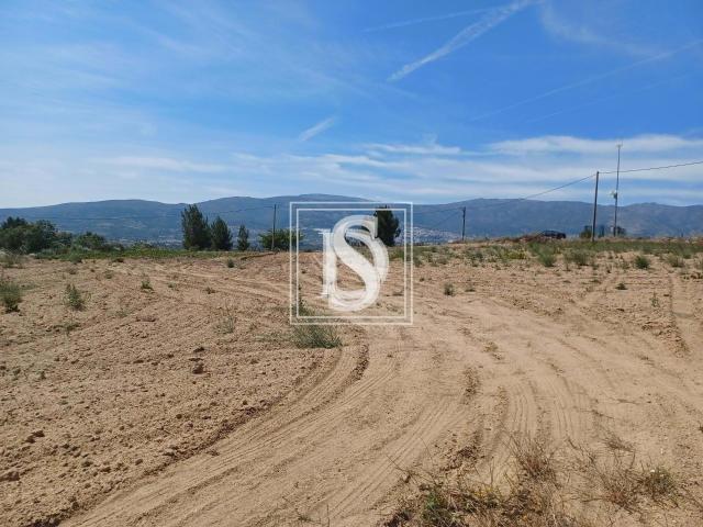 Terreno venda em Castelo Branco