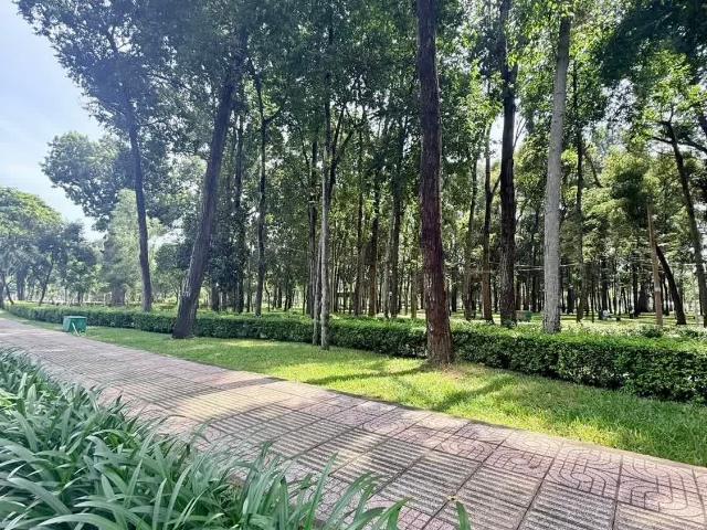 Nhà bán tại Thủ Đức, Hồ Chí Minh