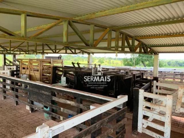Fazenda venda em Nova Brasilândia d'Oeste, Região Norte