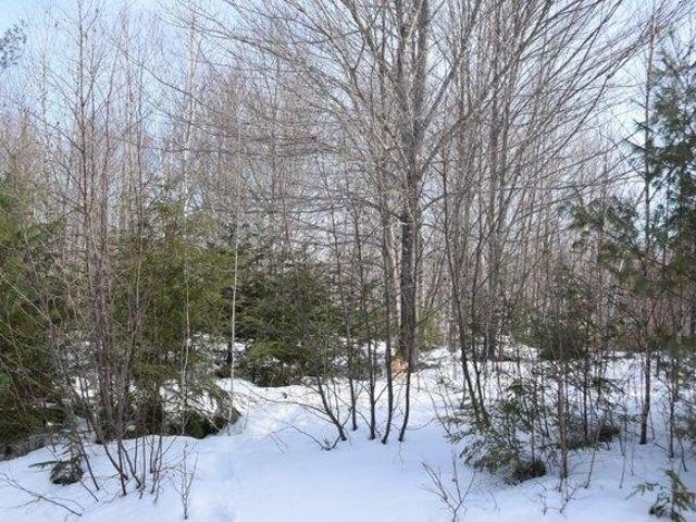 Land for sale in Maine