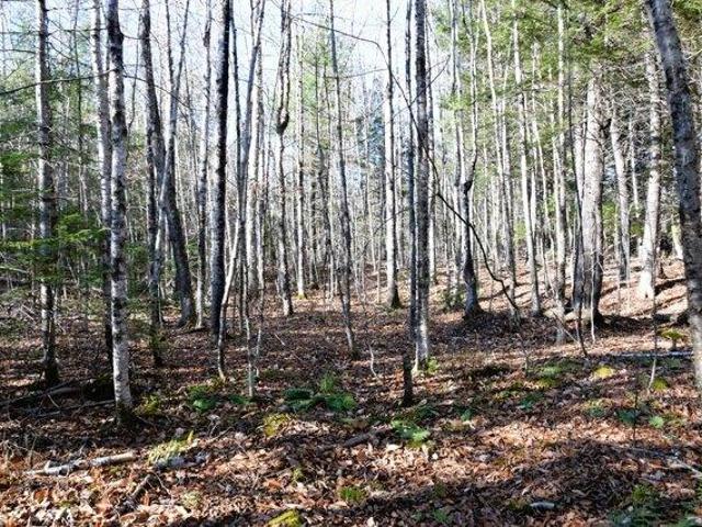 Land for sale in Maine