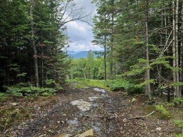 Land for sale in Maine