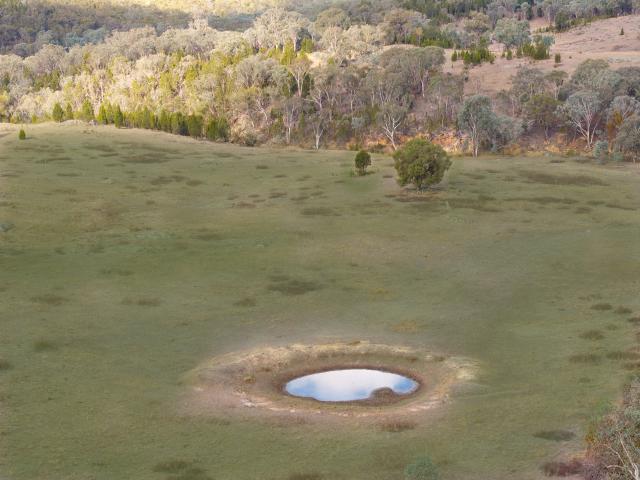 Property for sale in Godfreys Creek, New South Wales