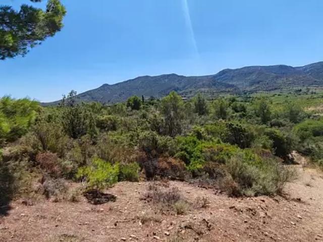 Terrain vente à Embres-et-Castelmaure, Aude