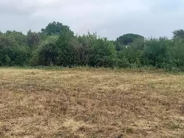 Terrain vente à Narbonne, Embres-et-castelmaure