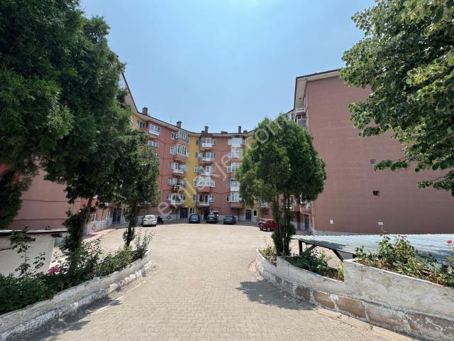 Körfez, Kocaeli içerisinde kiralık mülk